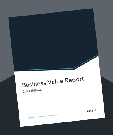 2024 Business Value Report