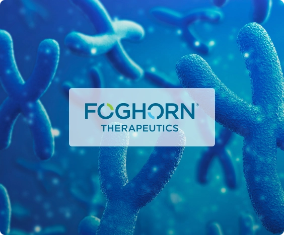 Foghorn